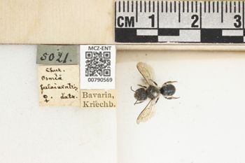 Media type: image;   Entomology 790569 Aspect: Labels